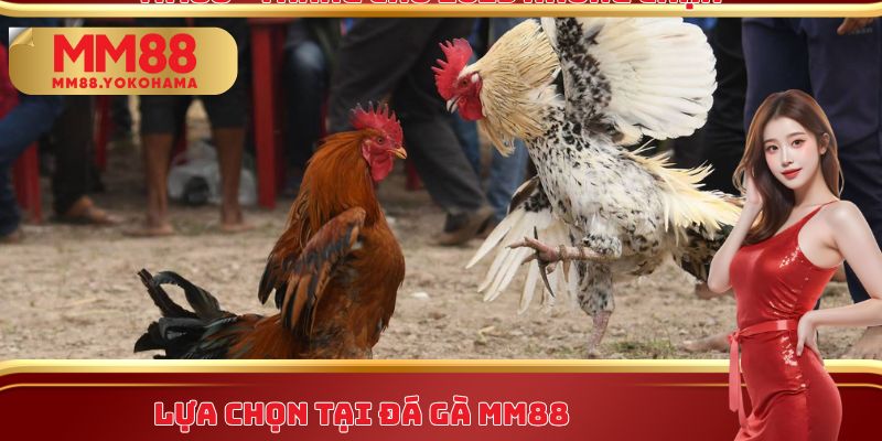 Lựa chọn tại đá gà MM88