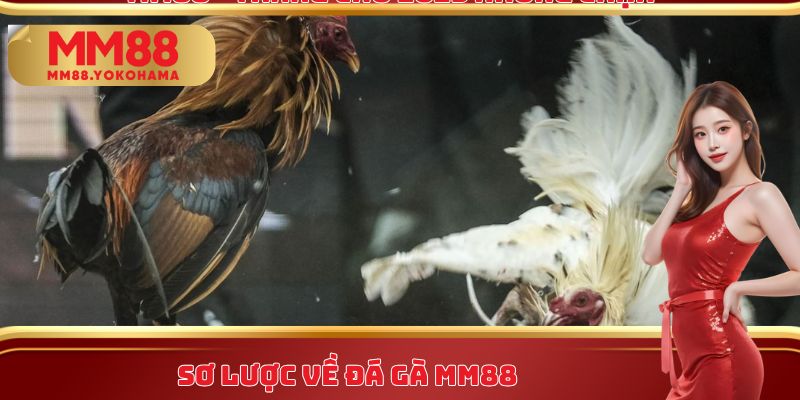 Sơ lược về đá gà MM88